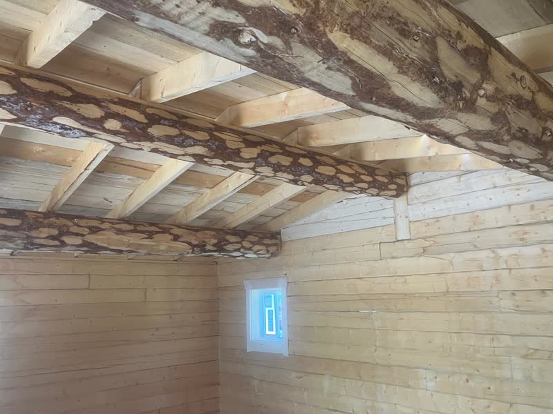 Inside a cabin: hand-fitted log walls and peeled log beams