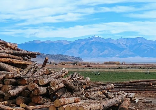 Logs stacked at the yard with snow-capped mountains behind